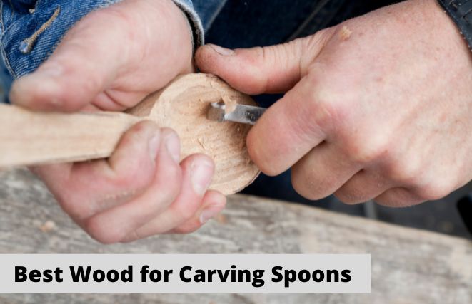 Best Wood for Carving Spoons